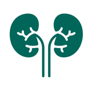 Renal Function Test (RFT)